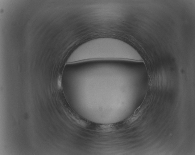 X0000074260095200608250911