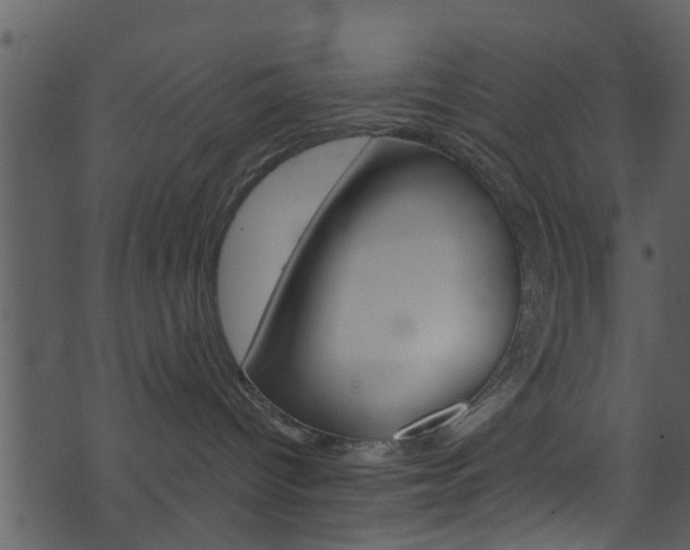 X0000074260096200608250911