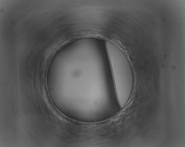 X0000074260097200608250910