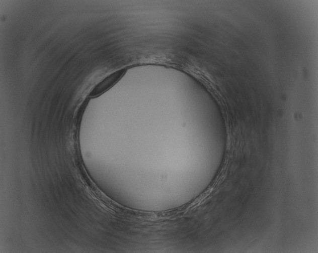 X0000074260098200608250910