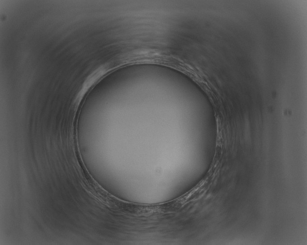 X0000074260099200608250910