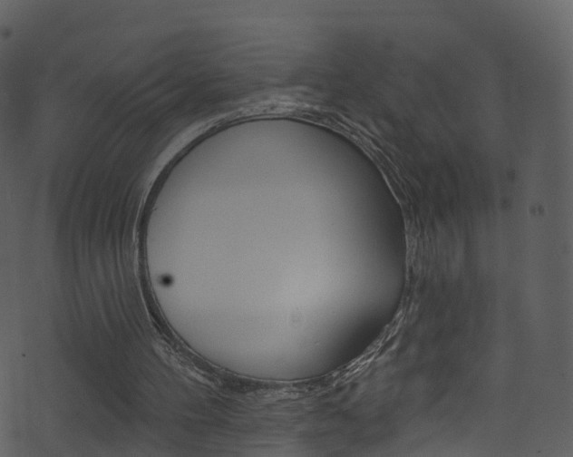 X0000074260100200608250910