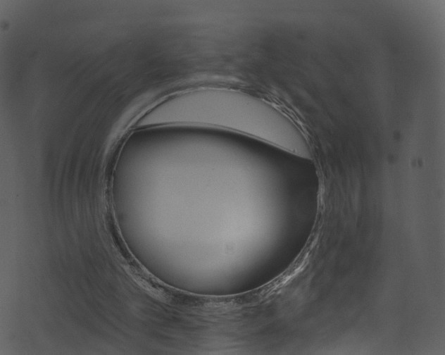 X0000074260101200608250910