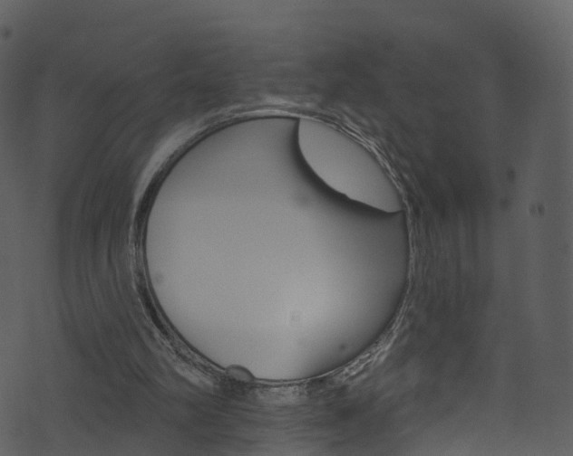 X0000074260102200608250910