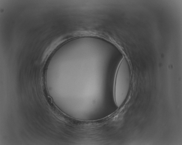 X0000074260103200608250910