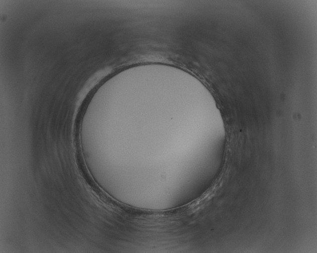 X0000074260104200608250910