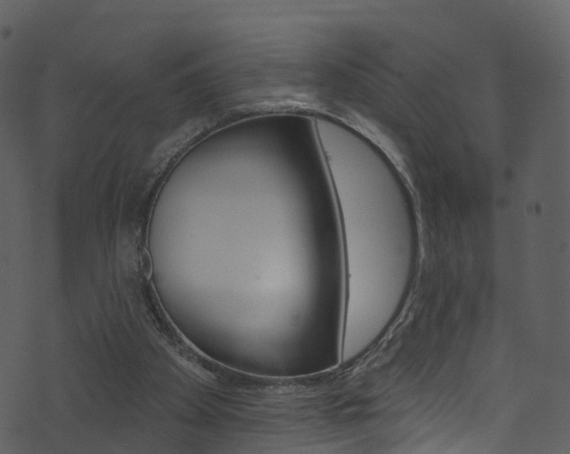 X0000074260105200608250910