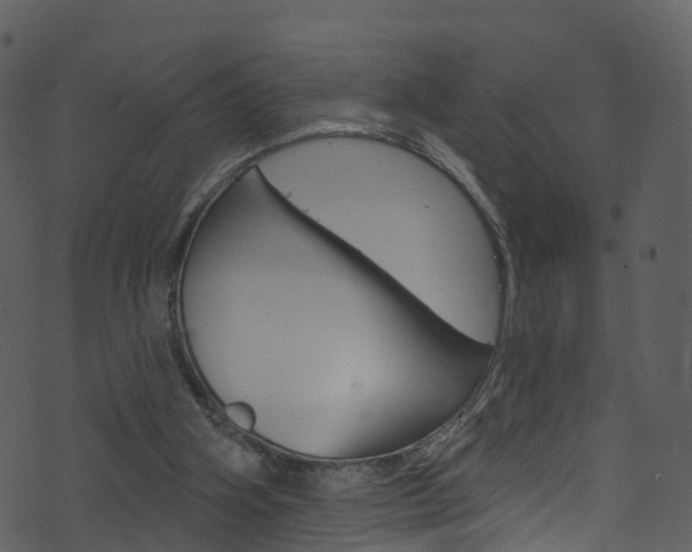 X0000074260106200608250910