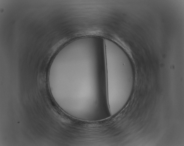 X0000074260107200608250910