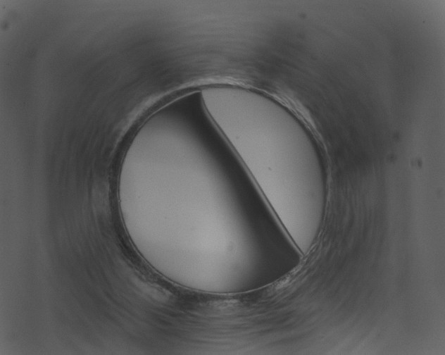 X0000074260108200608250910