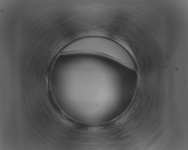 X0000074260109200608250910