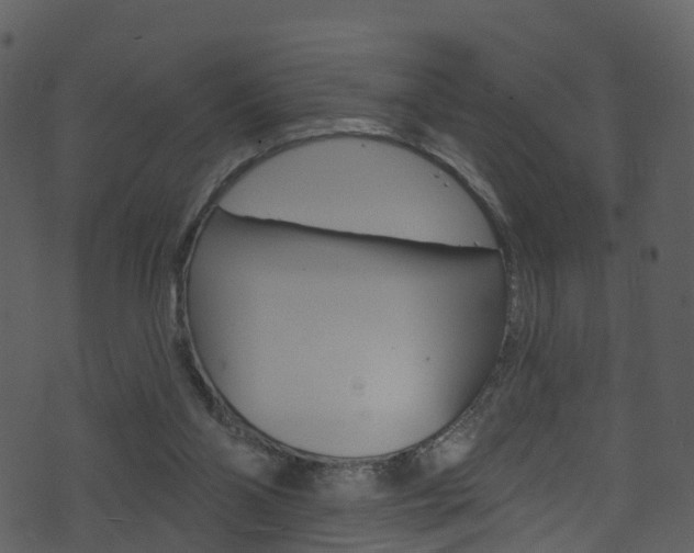 X0000074260110200608250910