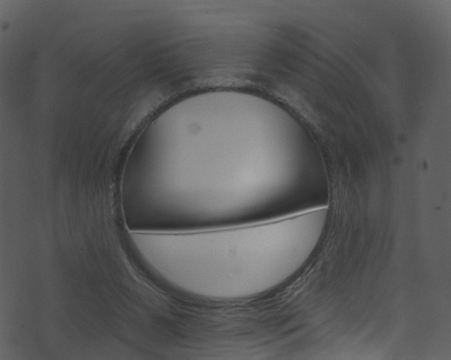 X0000074260111200608250910