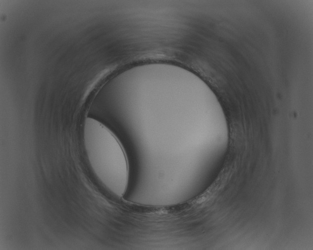 X0000074260112200608250910