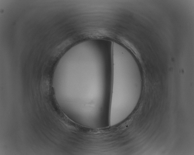 X0000074260113200608250910