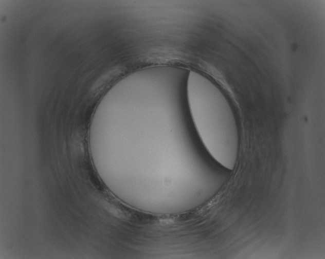 X0000074260114200608250910