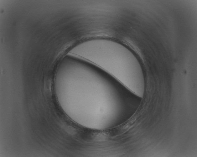 X0000074260115200608250910