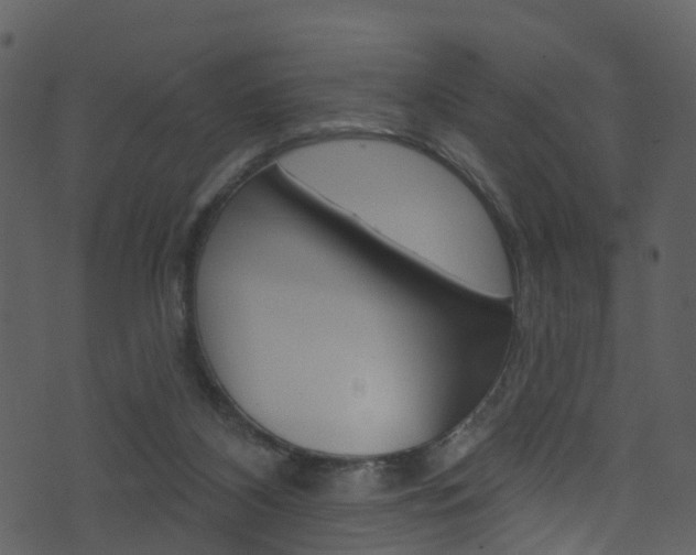 X0000074260116200608250910