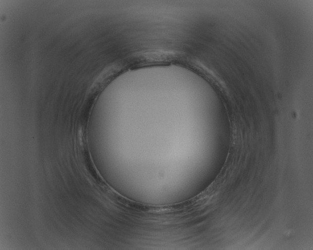 X0000074260117200608250910