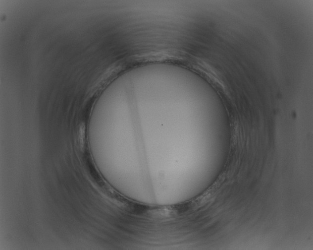 X0000074260118200608250910