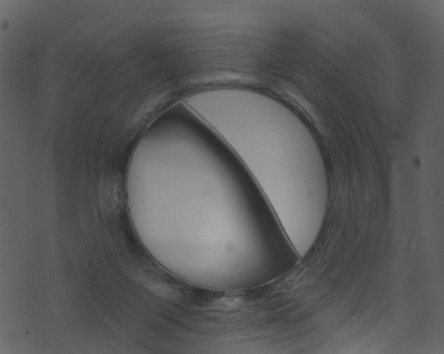 X0000074260119200608250910