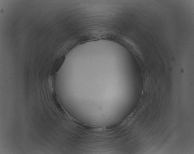 X0000074260121200608250910