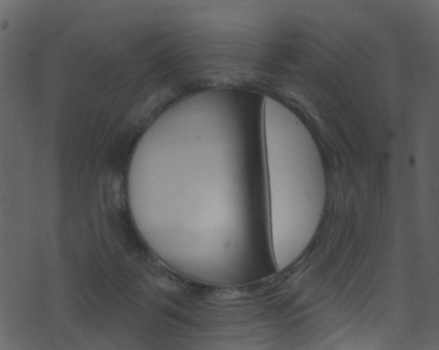 X0000074260123200608250910