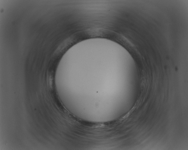 X0000074260124200608250910