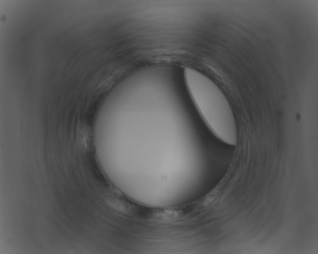 X0000074260125200608250910