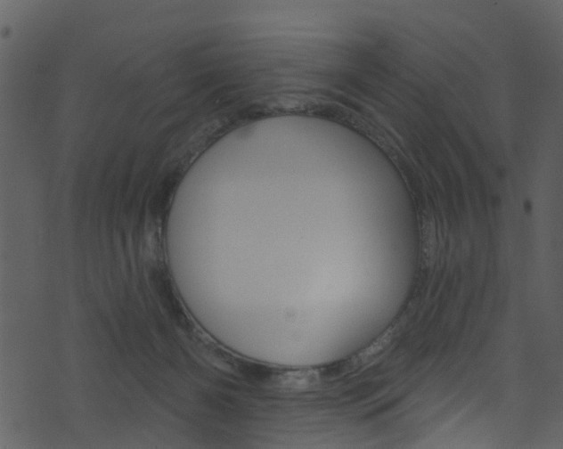 X0000074260126200608250910