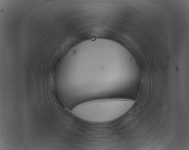 X0000074260127200608250910