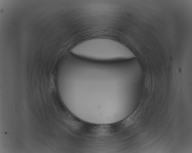 X0000074260128200608250910