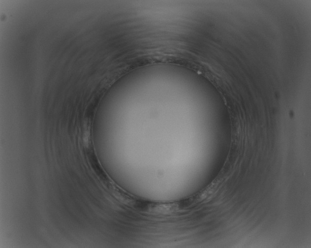 X0000074260129200608250910