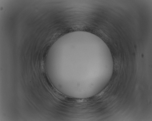 X0000074260130200608250909