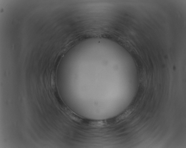 X0000074260131200608250909