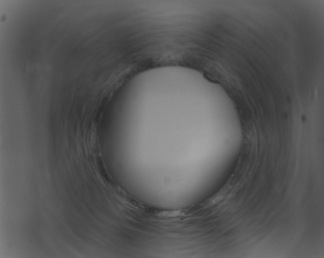 X0000074260133200608250909