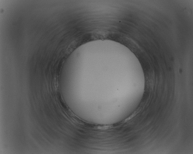 X0000074260134200608250909