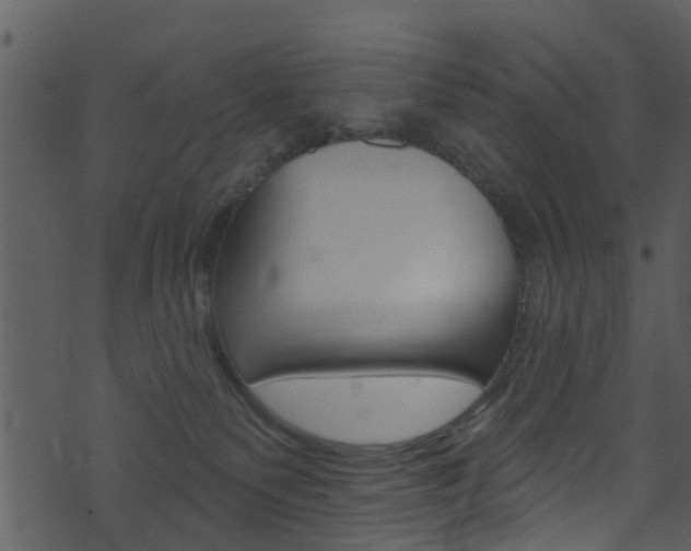 X0000074260135200608250909