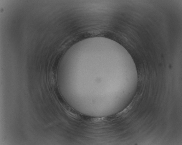 X0000074260136200608250909