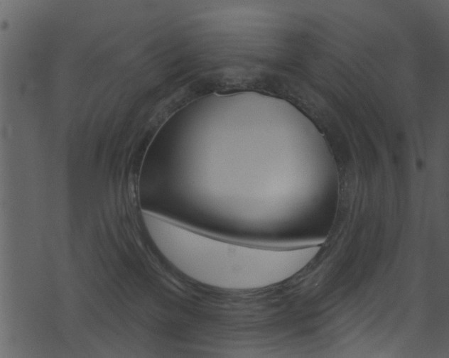 X0000074260137200608250909