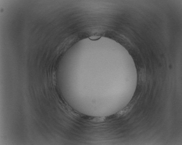 X0000074260138200608250909