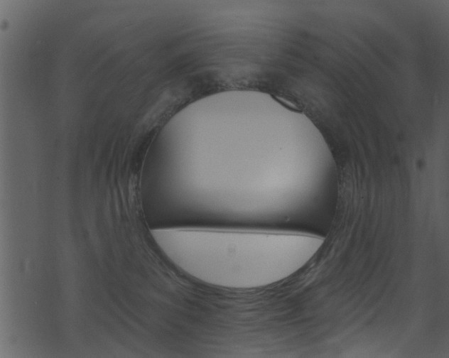 X0000074260139200608250909