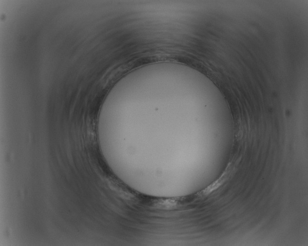 X0000074260140200608250909