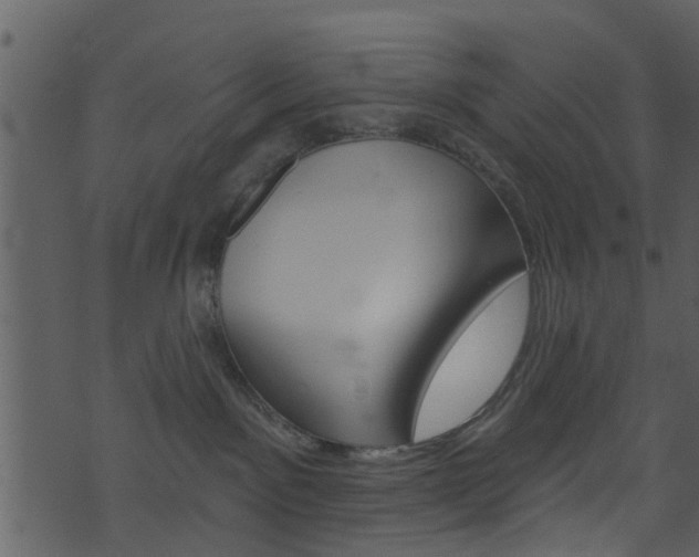 X0000074260141200608250909