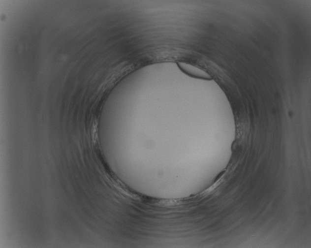 X0000074260142200608250909