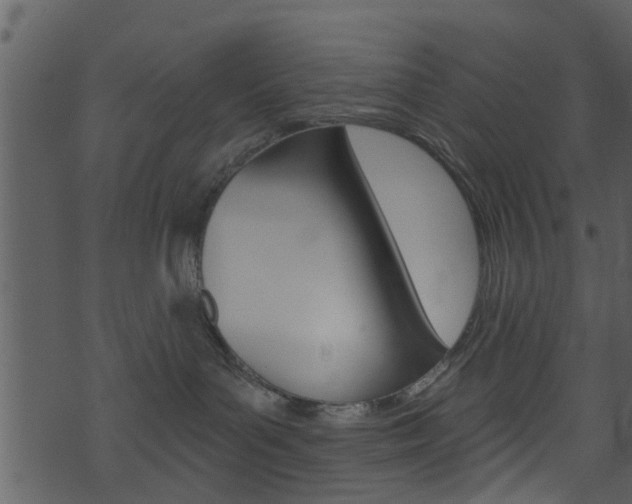 X0000074260143200608250909