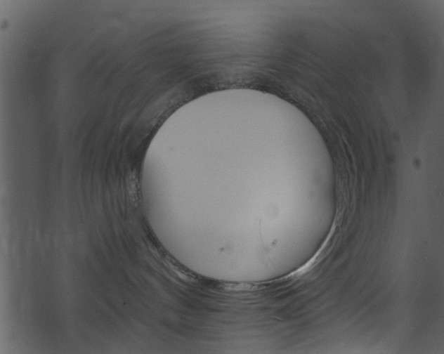 X0000074260144200608250909