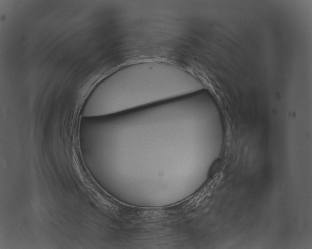 X0000074260145200608250908