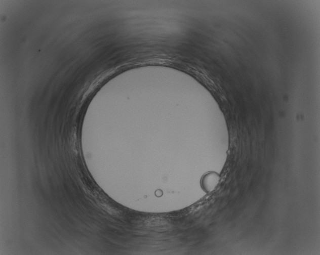 X0000074260146200608250909