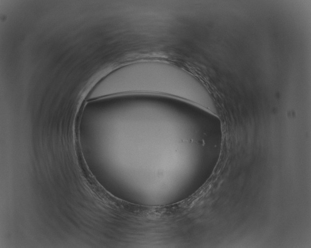 X0000074260148200608250909